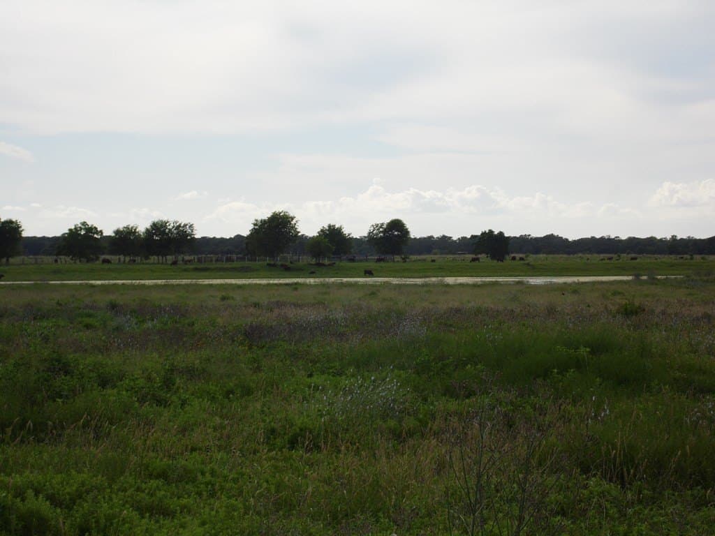 2.45 acres in Texas County - photo 6