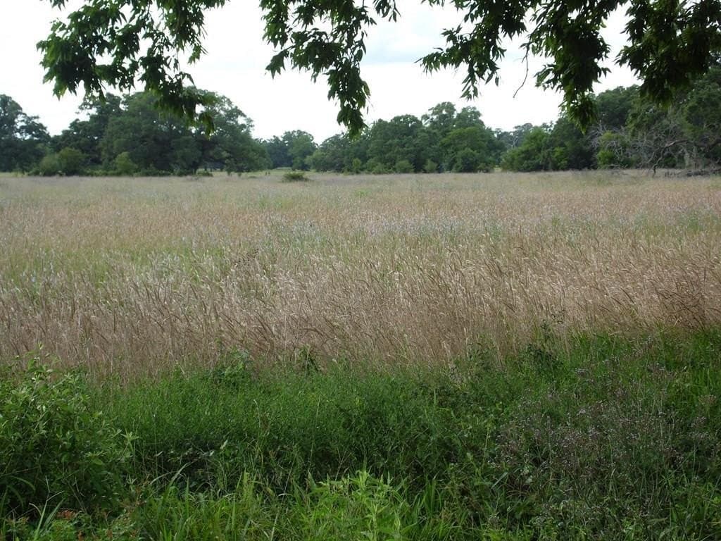 2.45 acres in Texas County - photo 4