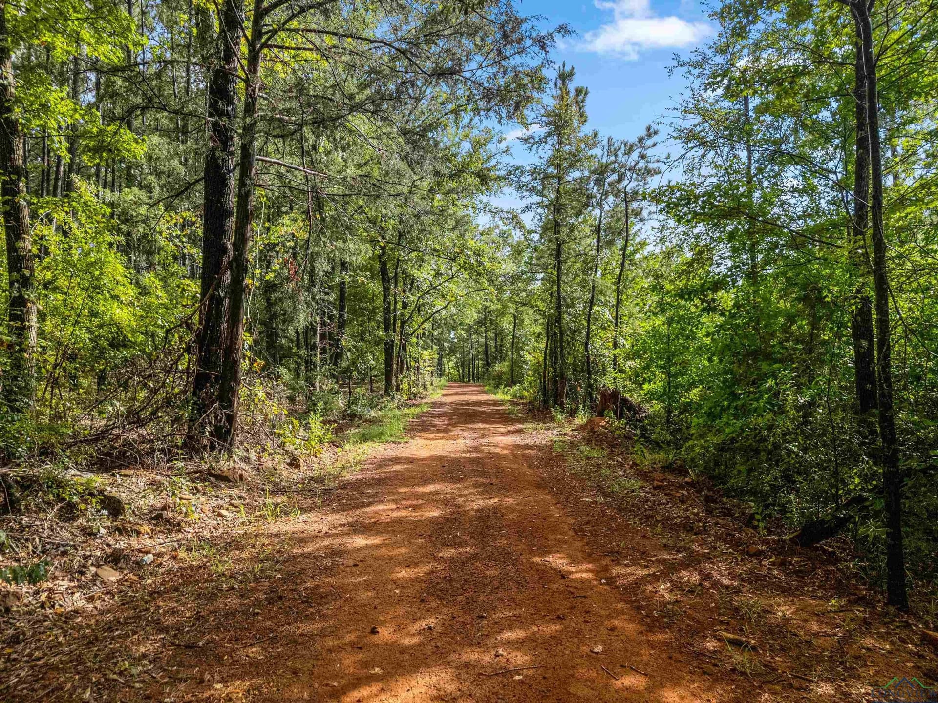 10.47 acres in Texas County - photo 9