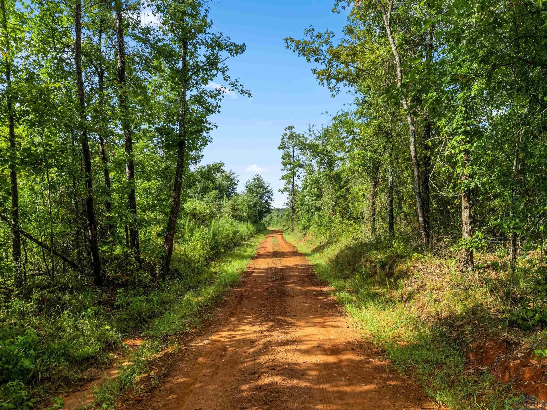 10.47 acres in Texas County - photo 10