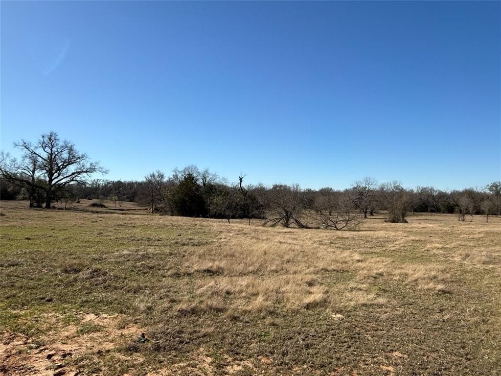26.01 acres in Freestone County - photo 11