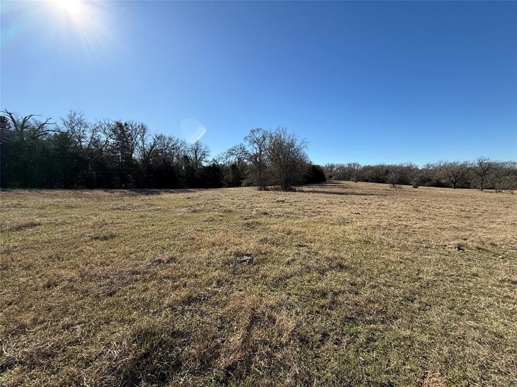 26.01 acres in Freestone County - photo 10
