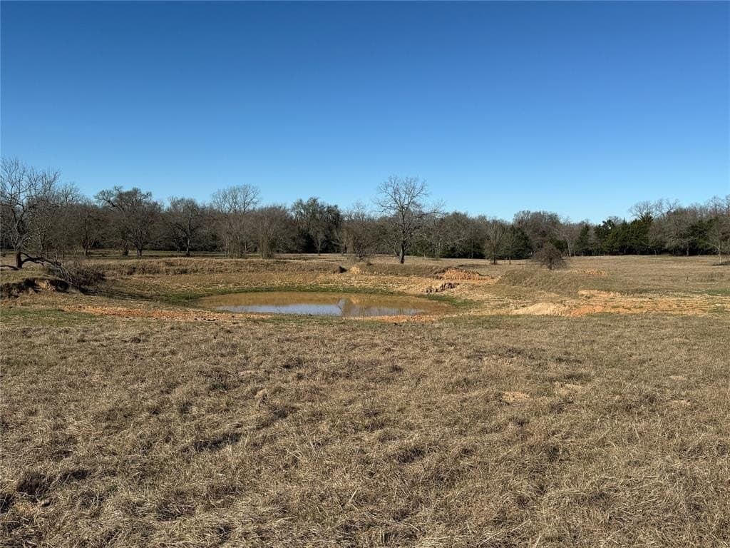 26.01 acres in Freestone County - photo 13