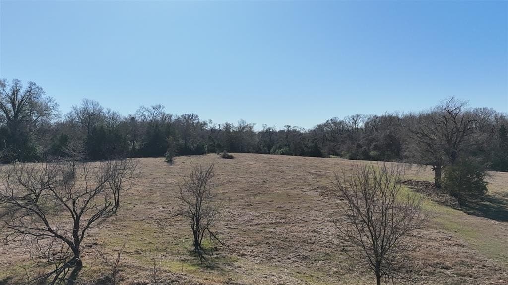 26.01 acres in Freestone County - photo 37