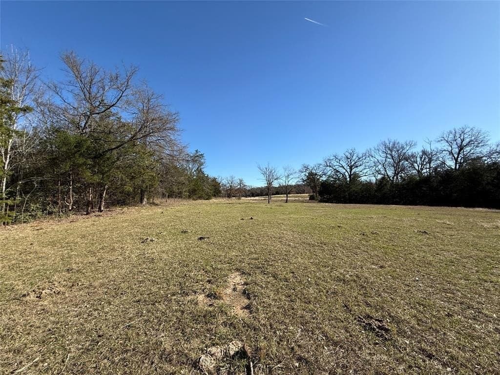 26.01 acres in Freestone County - photo 14