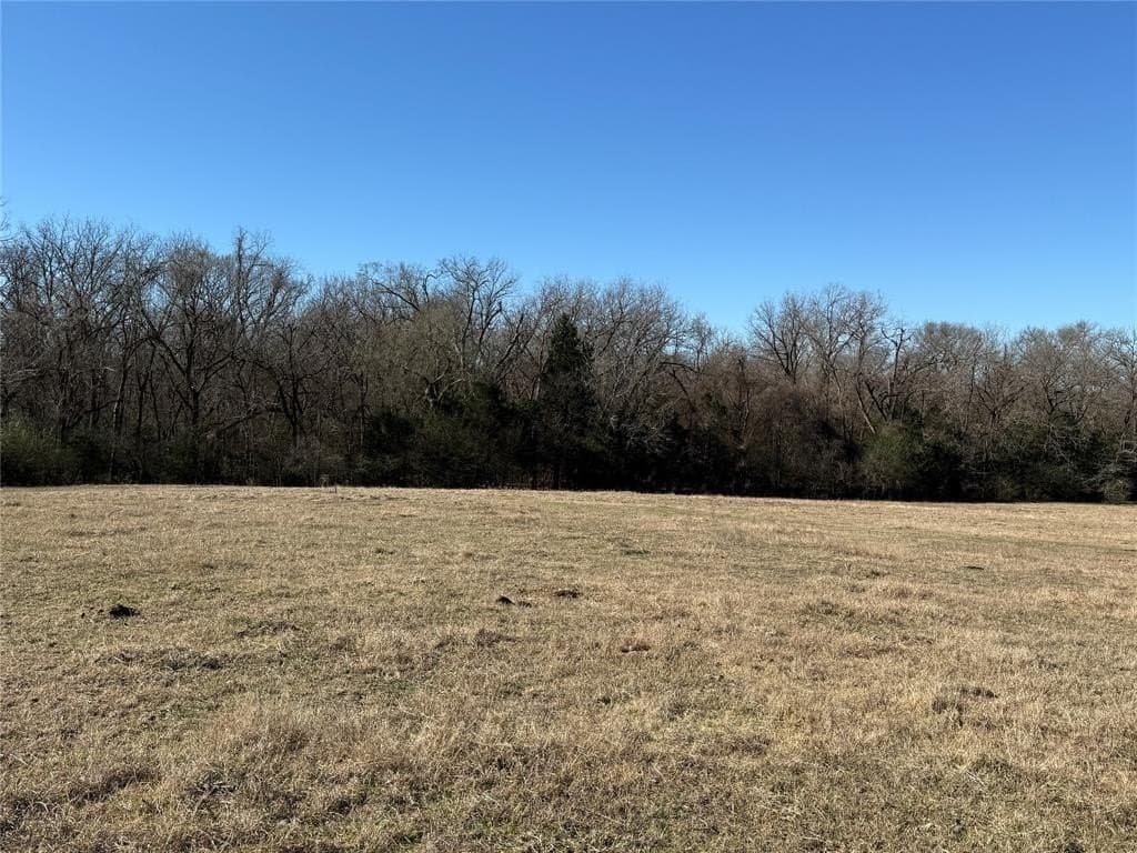 26.01 acres in Freestone County - photo 29