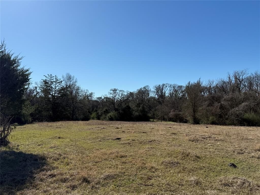 26.01 acres in Freestone County - photo 19
