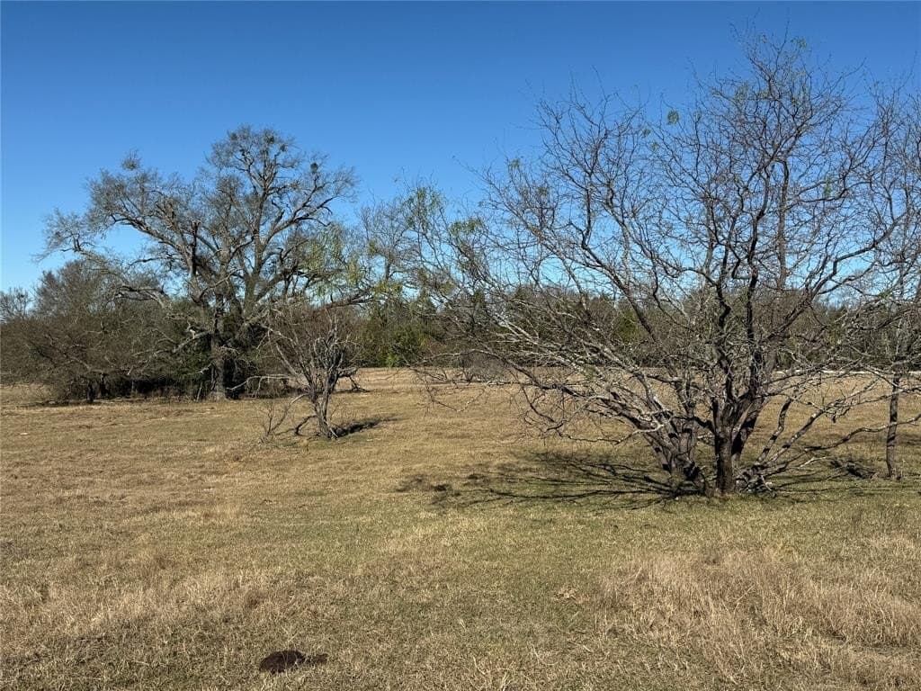 26.01 acres in Freestone County - photo 16