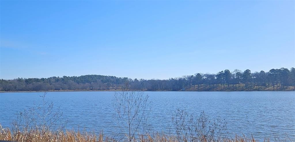 0.81 acres in Smith County - photo 2