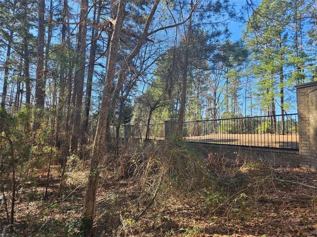 0.81 acres in Smith County - photo 6