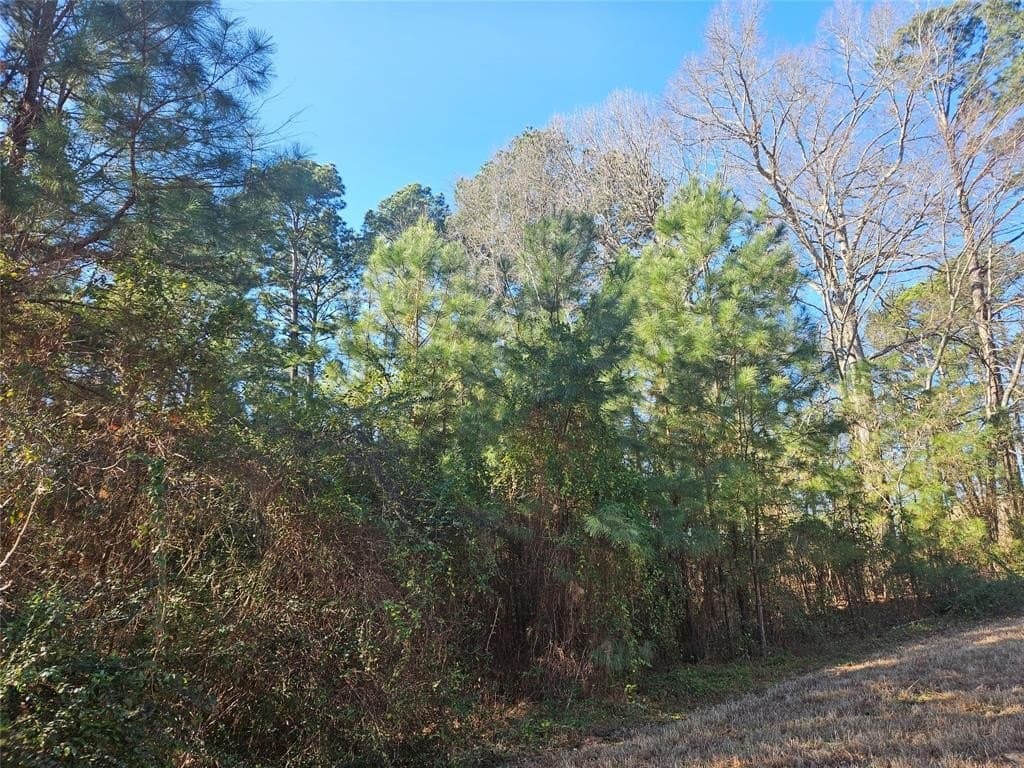 0.81 acres in Smith County - photo 7