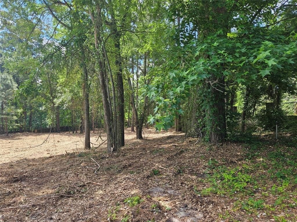 0.81 acres in Smith County - photo 11