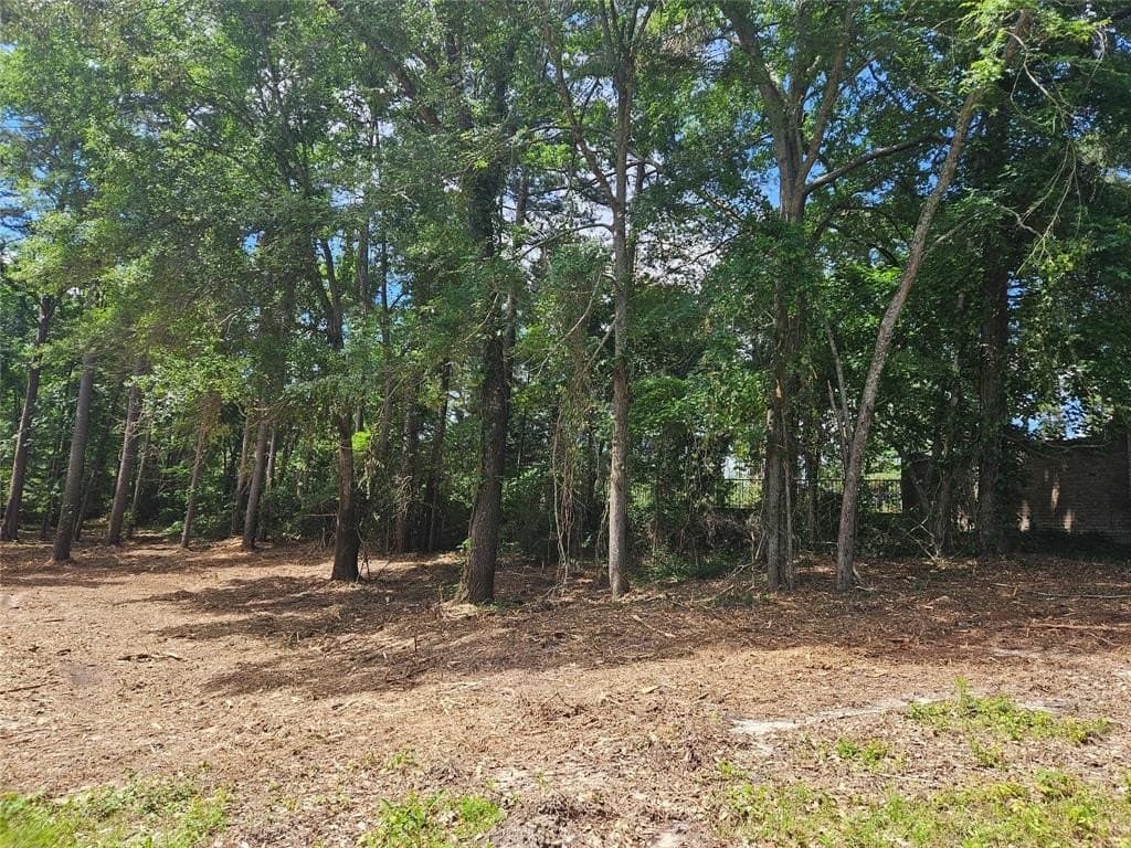 0.81 acres in Smith County - photo 10