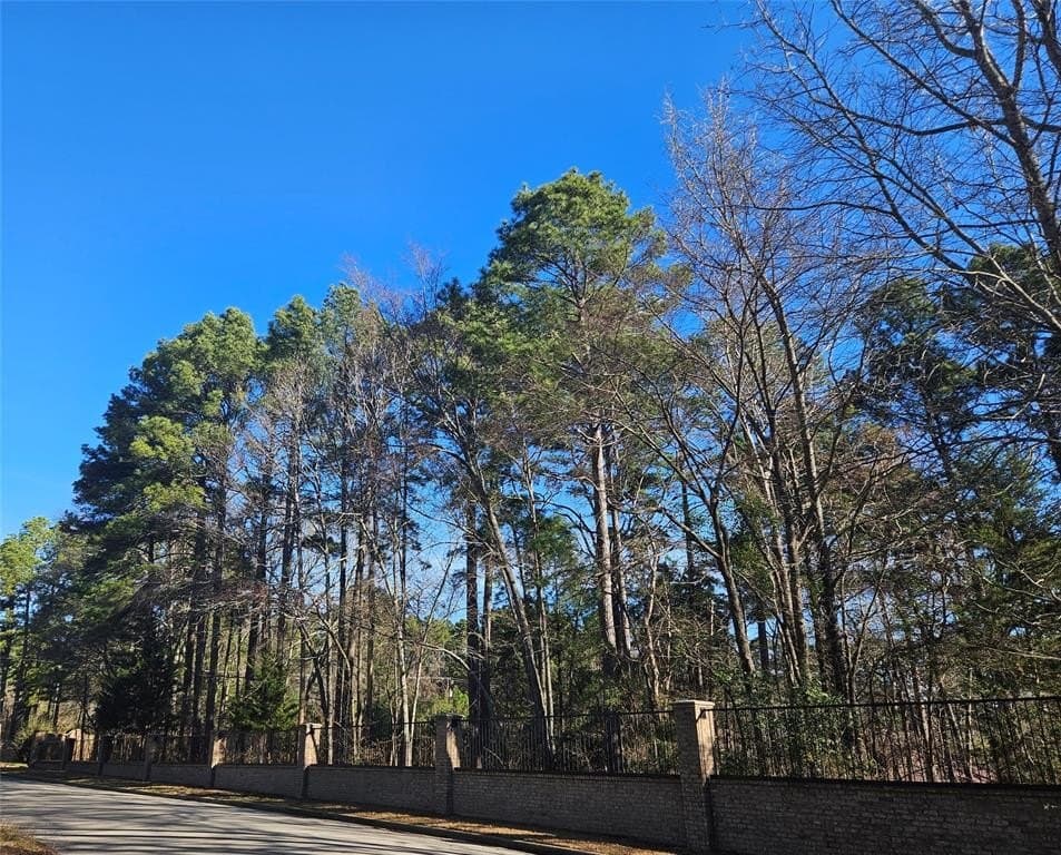 0.81 acres in Smith County - photo 4