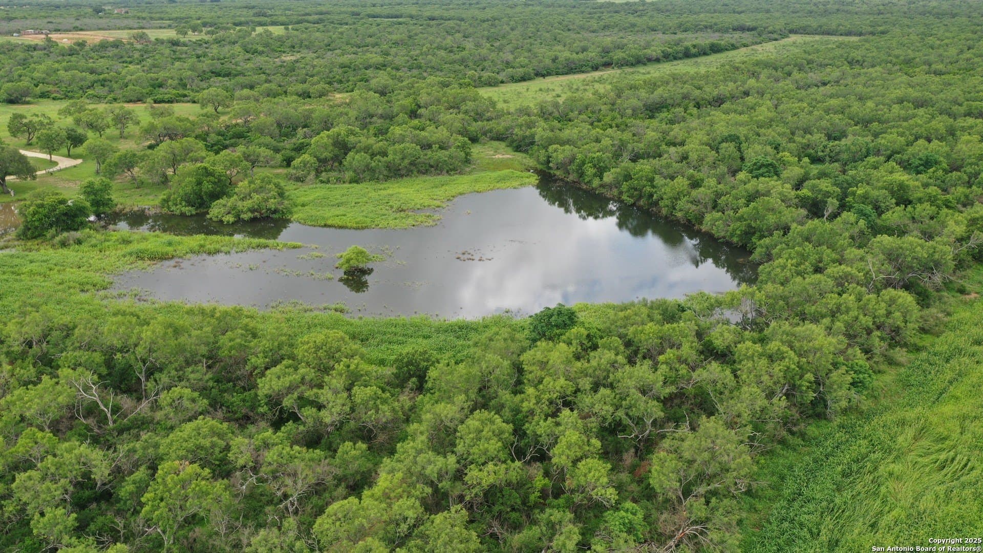 56.73 acres in Medina County - photo 11