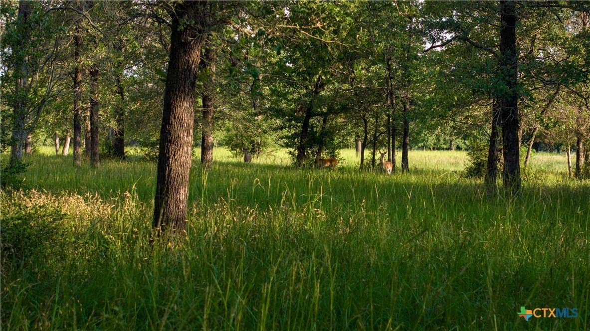 45.8 acres in Milam County - photo 46