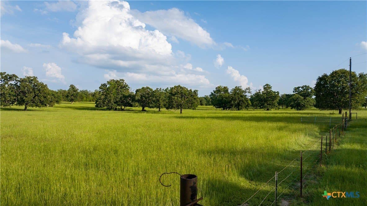 45.8 acres in Milam County - photo 33