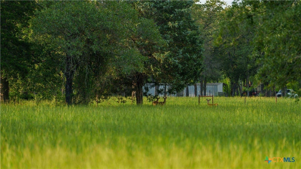 45.8 acres in Milam County - photo 40