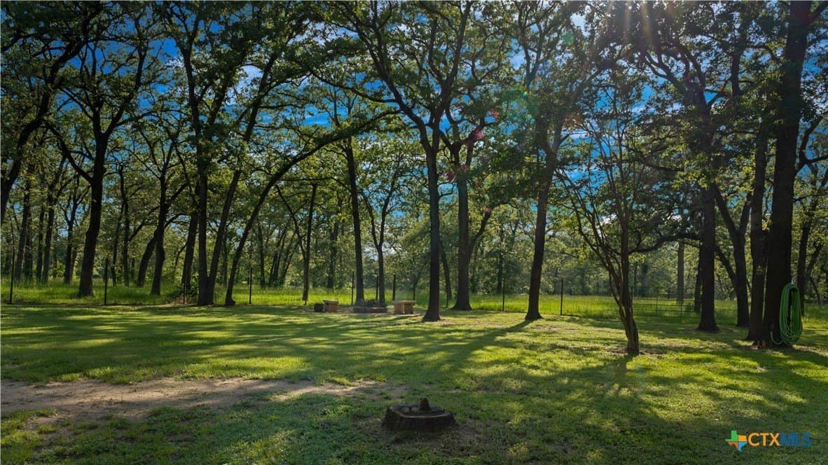 45.8 acres in Milam County - photo 34