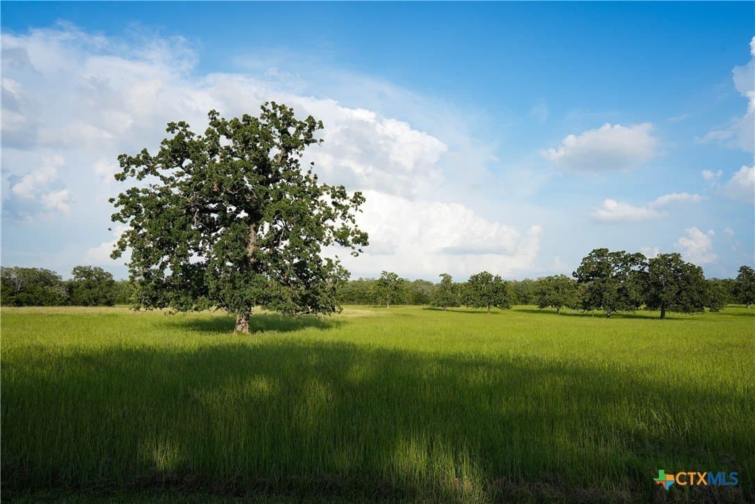 45.8 acres in Milam County - photo 35