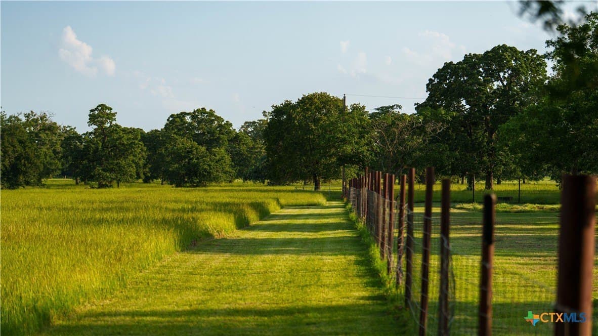45.8 acres in Milam County - photo 30