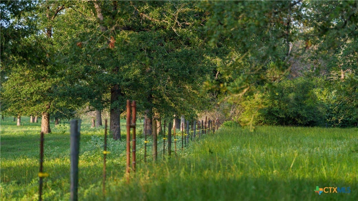 45.8 acres in Milam County - photo 44