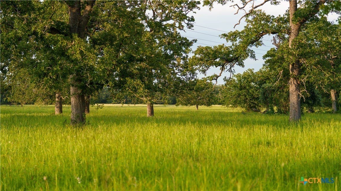 45.8 acres in Milam County - photo 41
