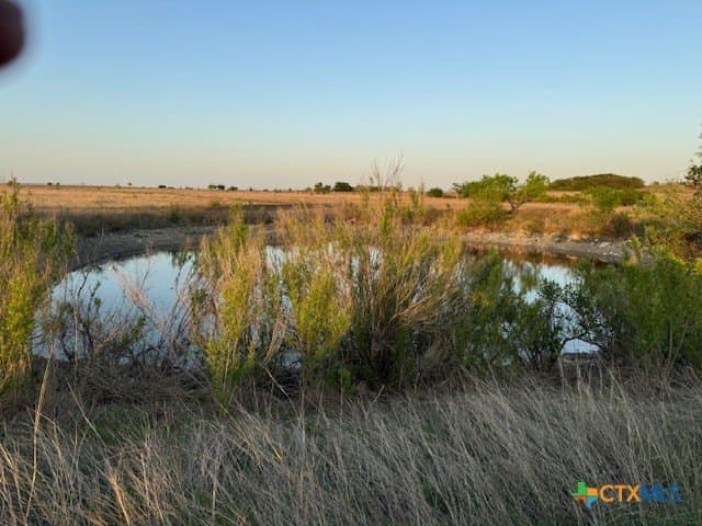 191 acres in Coryell County - photo 5