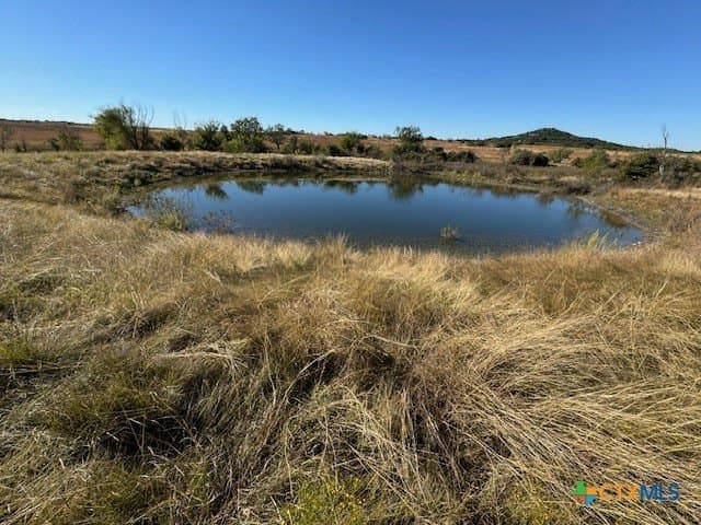 191 acres in Coryell County - photo 4