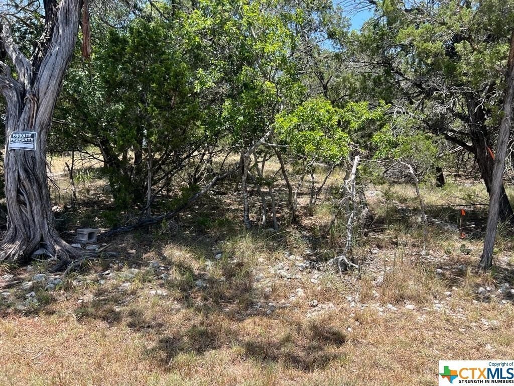 0.19 acres in Comal County - photo 9