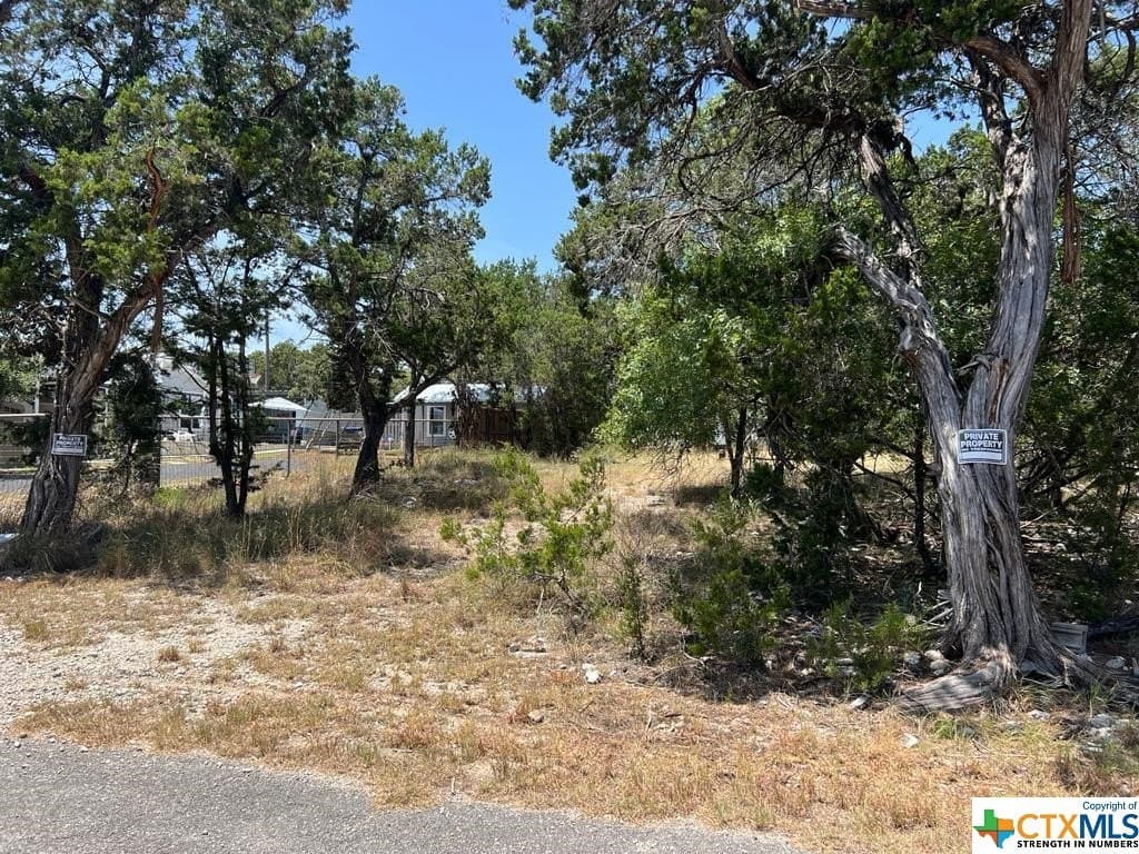 0.19 acres in Comal County - photo 8