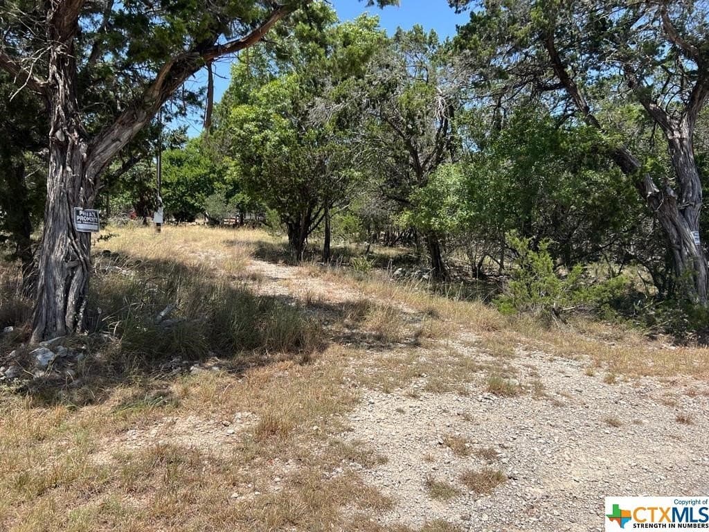0.19 acres in Comal County - photo 2