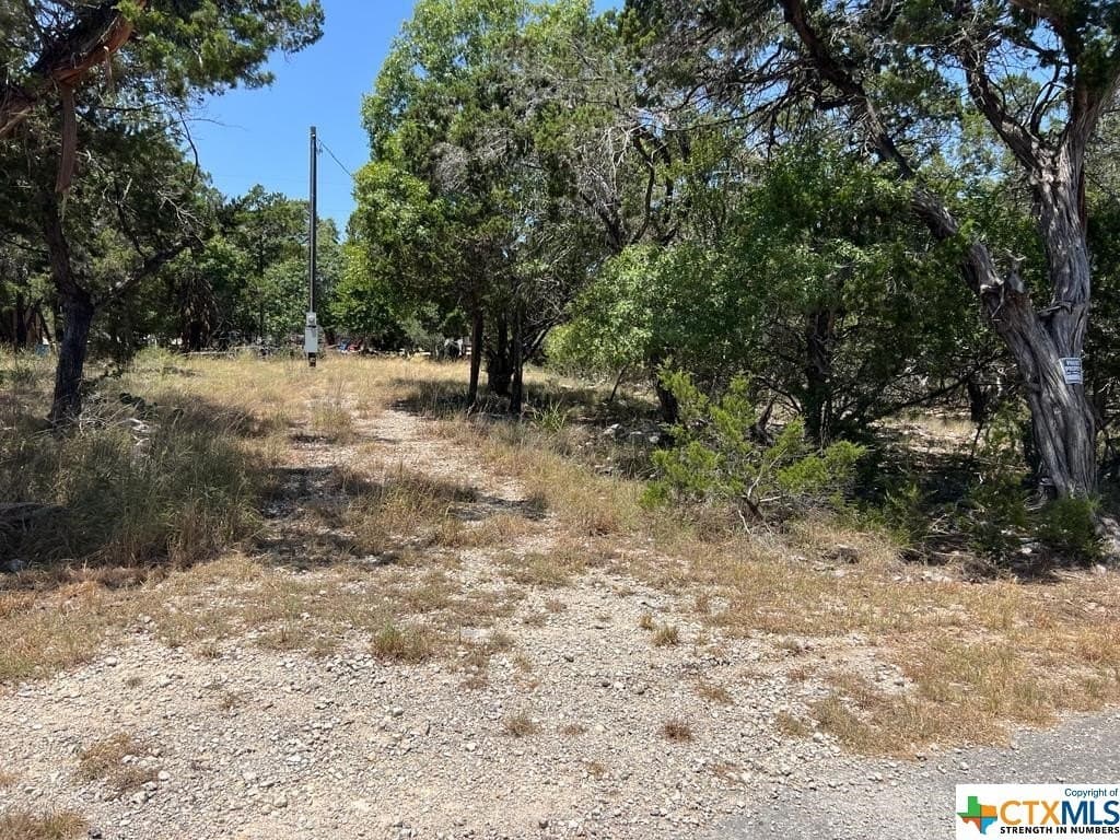 0.19 acres in Comal County - photo 13