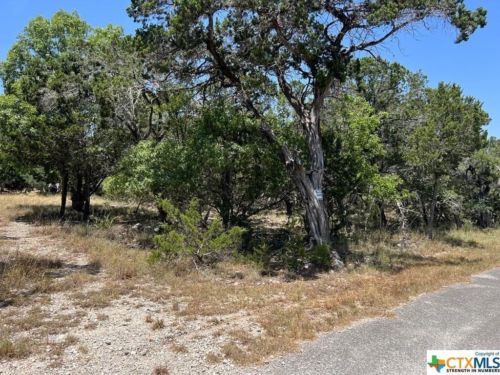0.19 acres in Comal County - photo 14