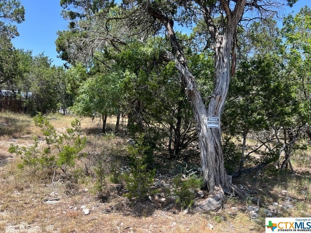 0.19 acres in Comal County - photo 10
