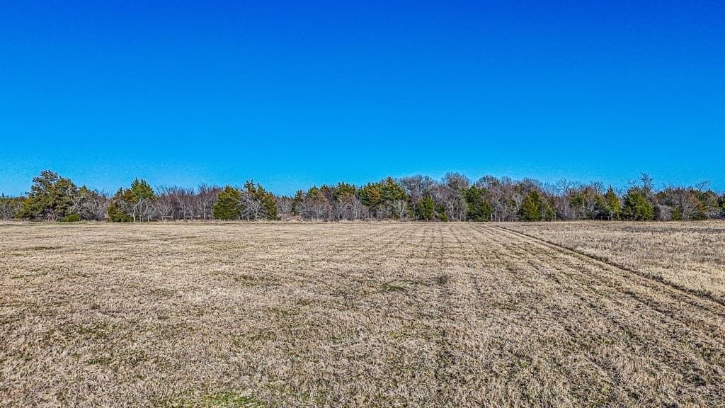 1 acres in Navarro County - photo 14