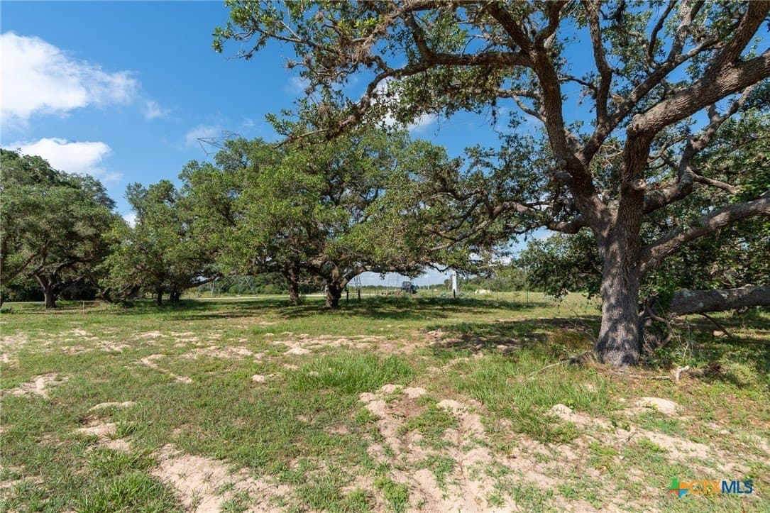 1.14 acres in Goliad County - photo 3