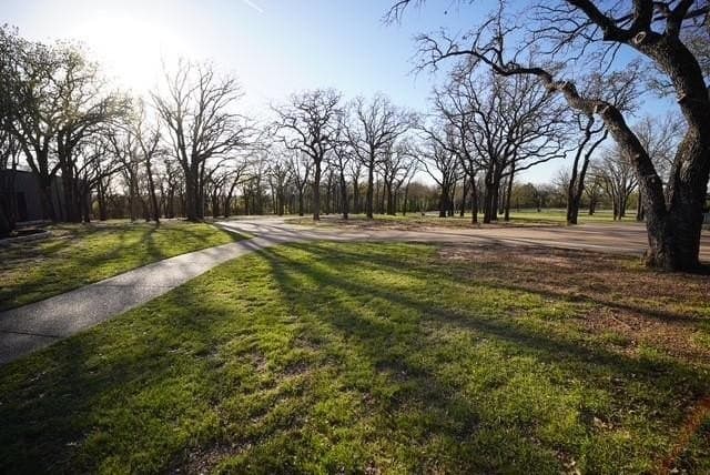 15.41 acres in Wise County - photo 10