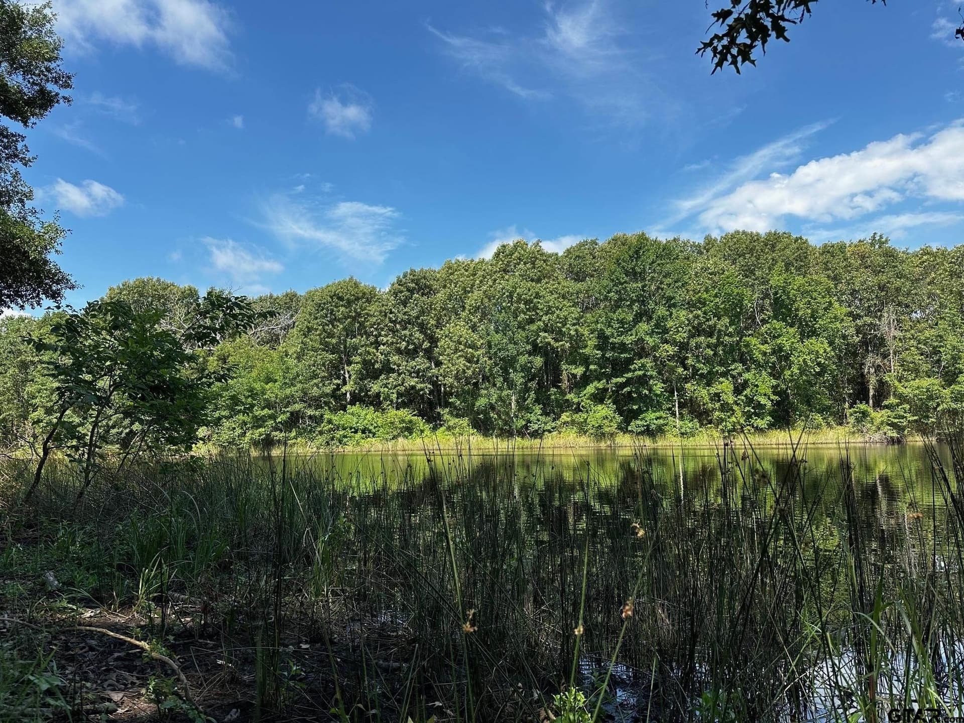 14.58 acres in Van Zandt County - photo 4