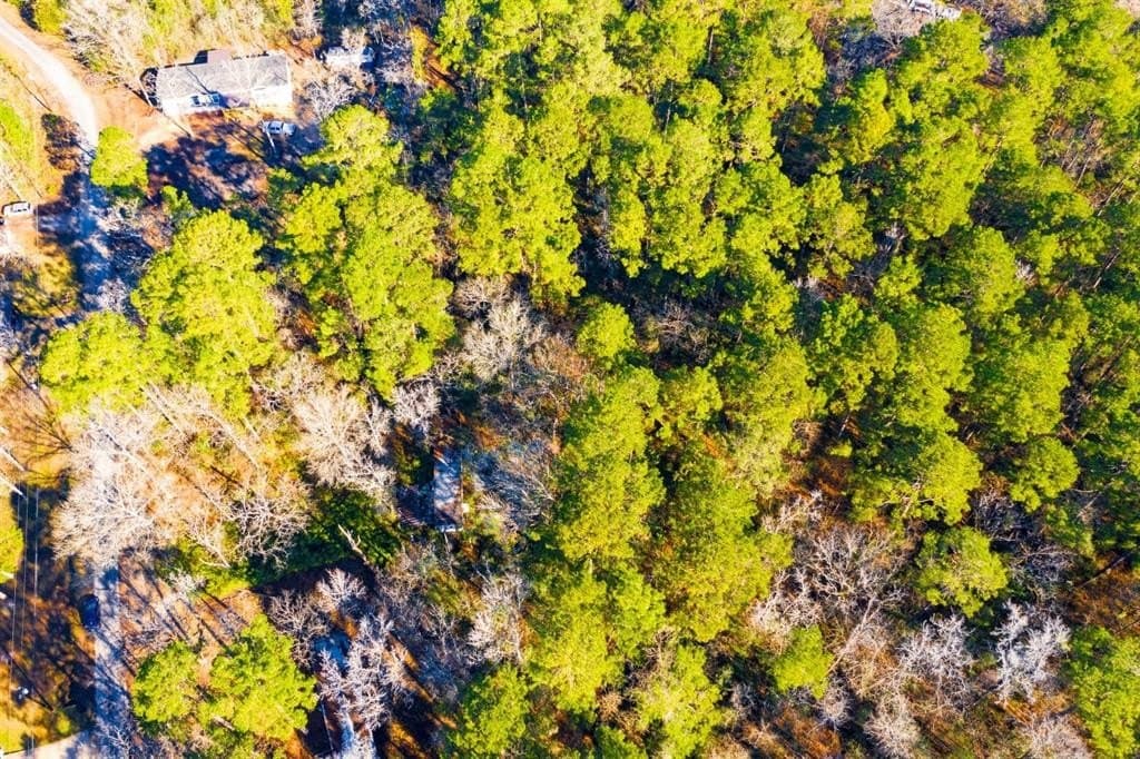 0.33 acres in Trinity County - photo 4