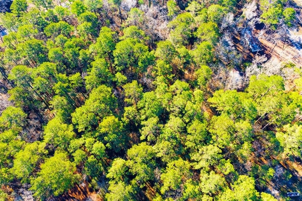 0.33 acres in Trinity County - photo 10