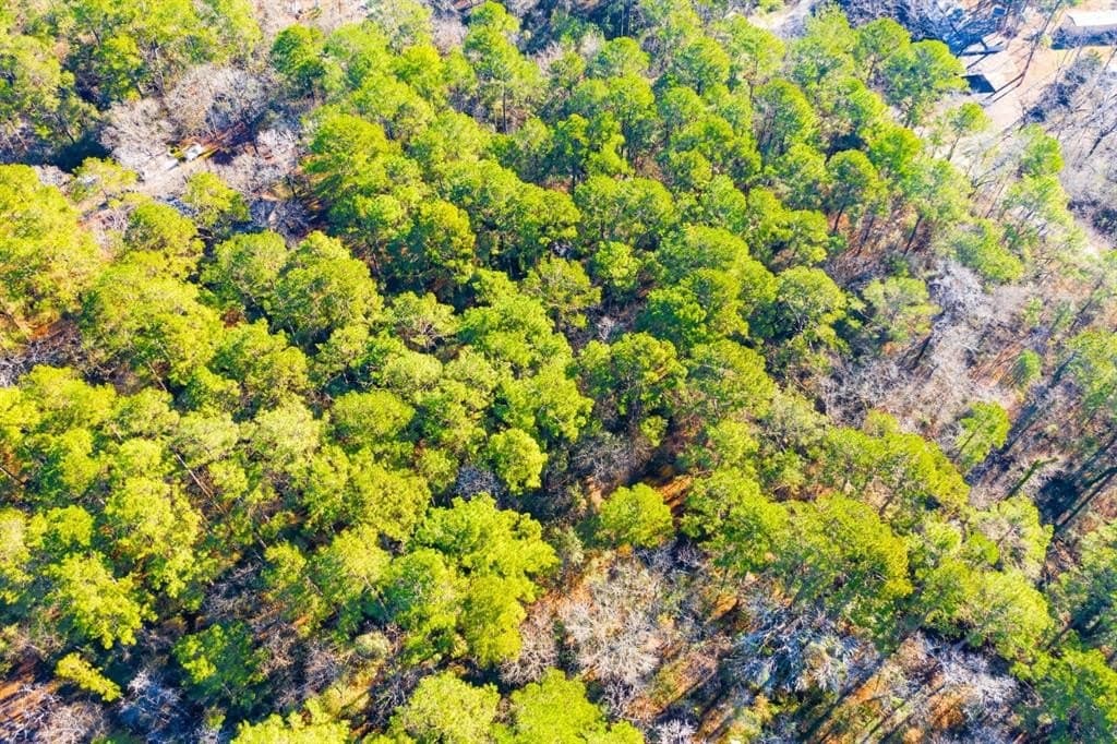 0.33 acres in Trinity County - photo 13