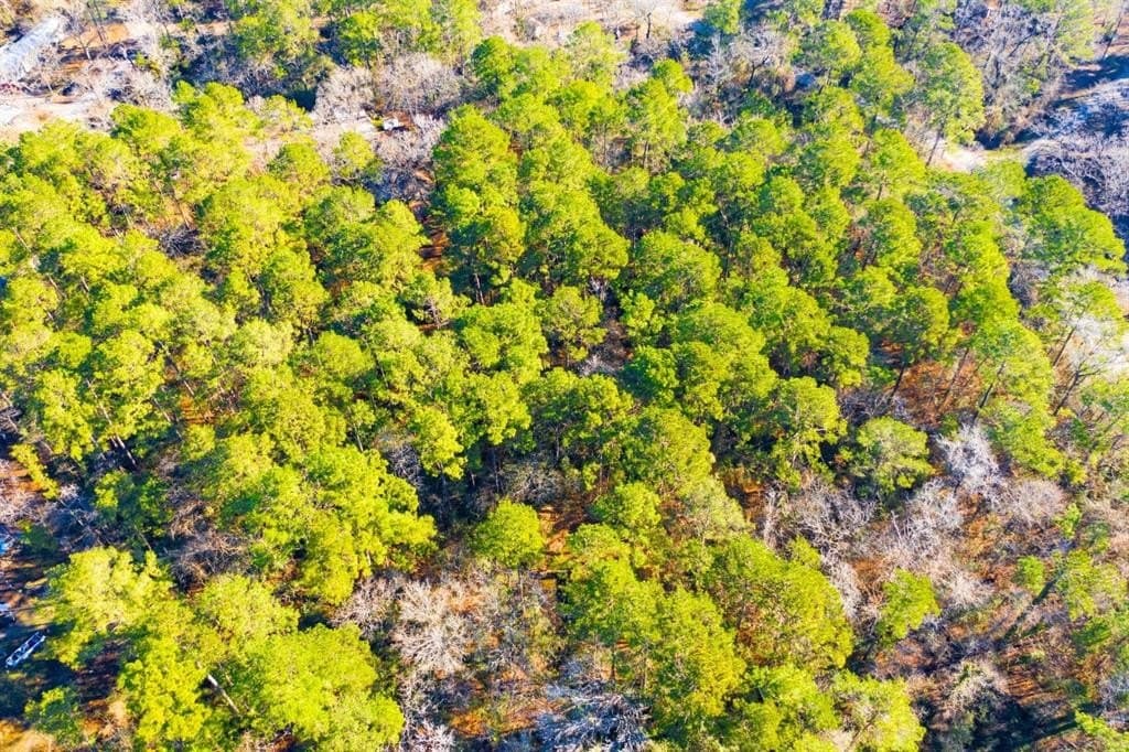 0.33 acres in Trinity County - photo 14