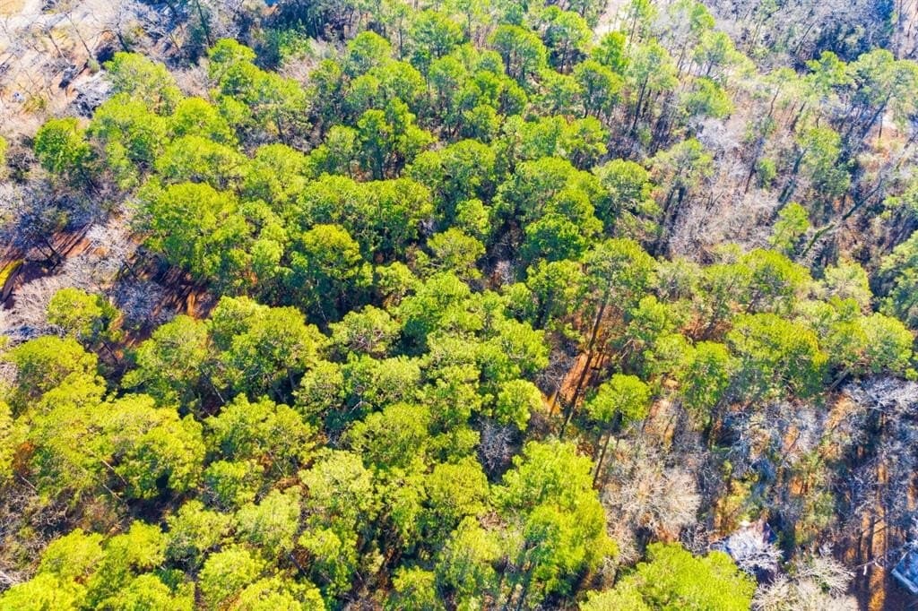 0.33 acres in Trinity County - photo 12