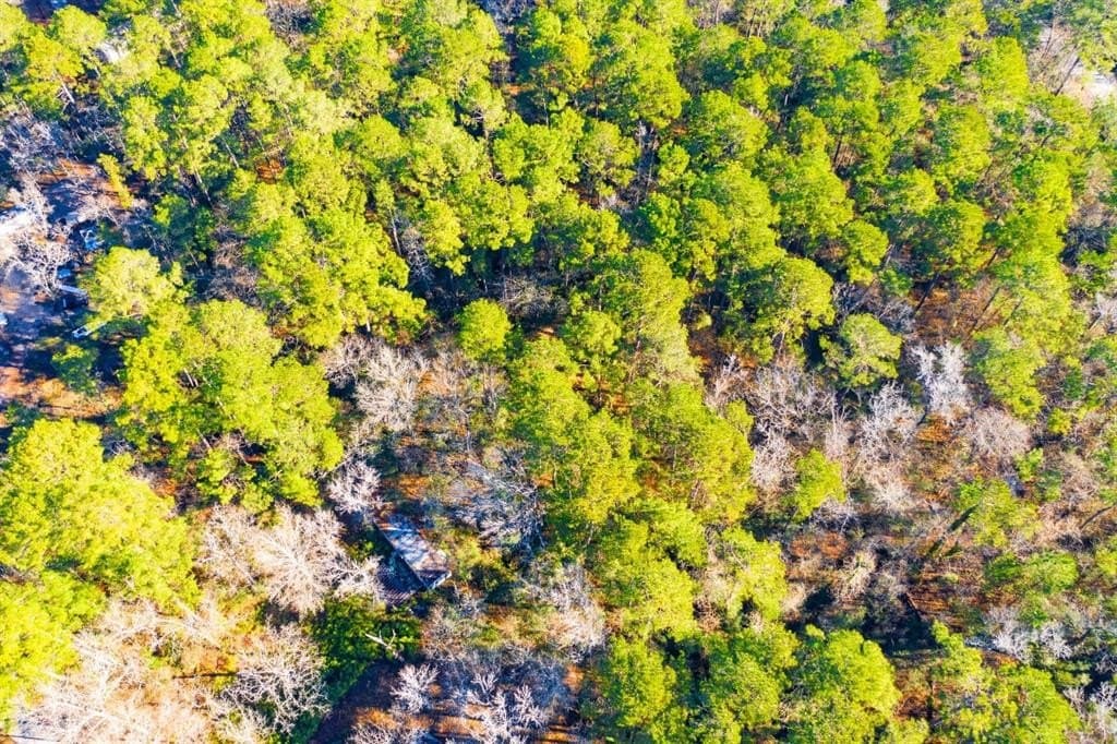 0.33 acres in Trinity County - photo 3