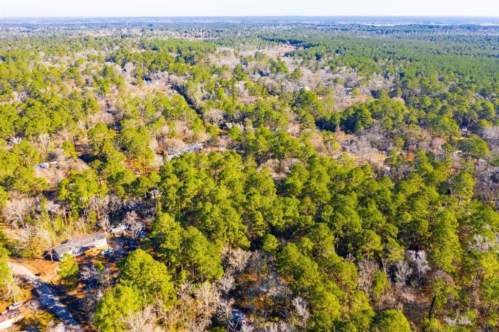 0.33 acres in Trinity County - photo 18