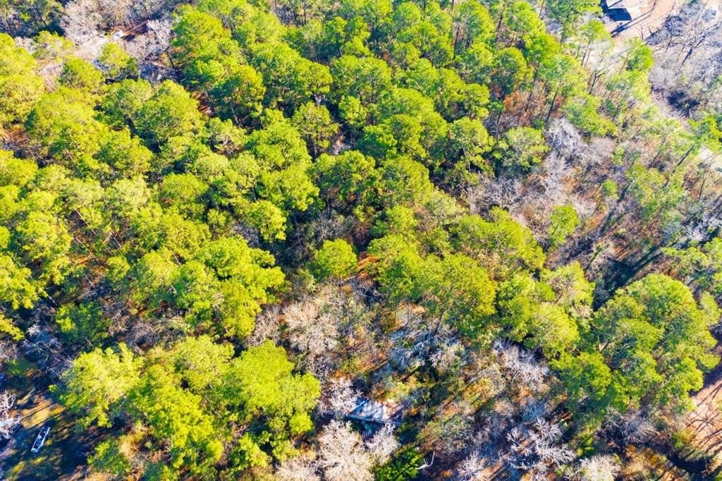 0.33 acres in Trinity County - photo 2