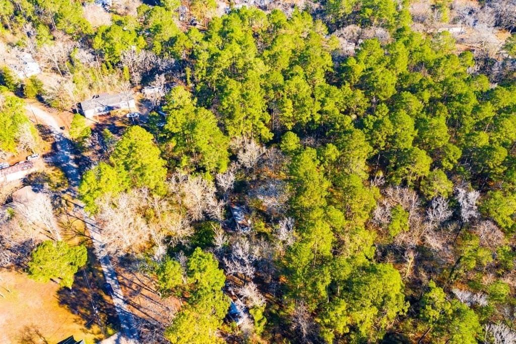 0.33 acres in Trinity County - photo 17