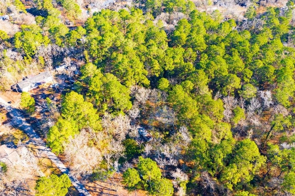 0.33 acres in Trinity County - photo 16