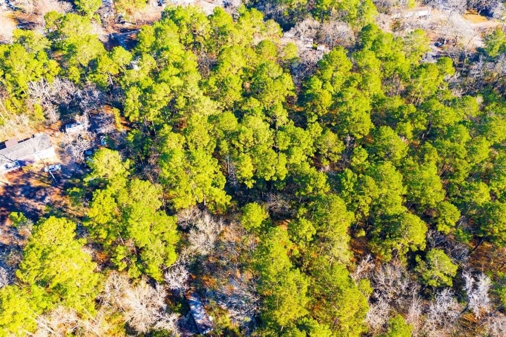 0.33 acres in Trinity County - photo 15